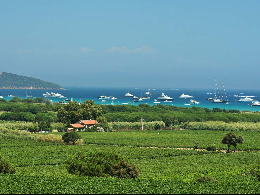 RAMATUELLE Les Tournels - French Campsites
